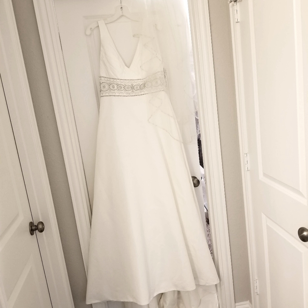 Wedding Dress & Vail